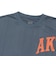 226-021005　F.A. ARCHED LOGO SP TEE　SLATE BLUE　715182-0001