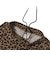 226-023002　F.A. LEOPARD WIDE 5.5 SHORTS　CAMEL　715183-0001