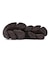 U2000 4EY　U2000 4EY(D)　BROWN(4EY)　717650-0001