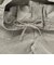 126K1141701　M Corduroy Work Pants　ASH GRAY　717853-0002