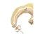 COLOR SHELL HOOPピアス
