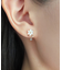 【誕生花ジュエリー】11月ブバリアピアス（ YG)
