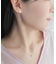 【誕生花ジュエリー】11月ブバリアピアス（ YG)