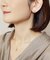 【 Solo Pierce】K10 エンゼルフィッシュハーフピアス