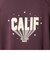 Collegiate Pacific(カレッジエイト パシフィック)アラカルトスウェットフーディ