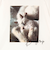 フレンチスリーブ猫Tシャツ