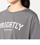 接触冷感 フロッキーロゴ Ｔシャツ