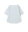日本製デラヴェ天竺 半袖Ｔシャツ　ボーダー/シーズンカラー