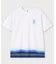 ピマコットン グラデーションボーダー Tシャツ
