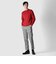 GIZA COTTON CREW NECK SWEATER