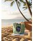 ﾊﾟﾗｶﾁｪｯｸﾄｰﾄ