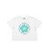 ﾊｲﾋﾞｽｶｽｻｰｸﾙｽﾃｯﾁTｼｬﾂ