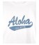 ｱﾛﾊﾃﾞﾆﾑ貼り付けTｼｬﾂ