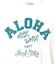 ｱﾛﾊｱｰﾁ長袖Tｼｬﾂ