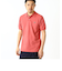 LACOSTE / L1212 ポロシャツ