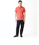 LACOSTE / L1212 ポロシャツ