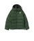 THE NORTH FACE / ビレイヤー パーカー（ユニセックス）