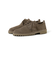 Clarks ORIGINALS / Desert Rock Low EXCLUSIVE COLOR