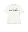 LACOSTE / ヘビーウェイト ブランドネーム ロゴTシャツ