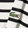 【別注】LACOSTE / カノコ ボーダー ロングスリーブ Tシャツ