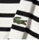 【別注】LACOSTE / カノコ ボーダー ロングスリーブ Tシャツ