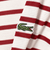 【別注】LACOSTE / カノコ ボーダー ロングスリーブ Tシャツ