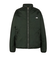 THE NORTH FACE / リバーシブル エクストリーム パイルフリースジャケット