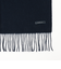 ウール カシミヤ マフラー 25FW（60cm）