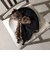 アビエイター キャップ