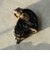 アビエイター キャップ