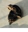 アビエイター キャップ
