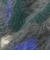 レオパード シャギー ニット