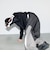 【大人向けサイズあり】【GLSW.】【セットアップ対応】パネル切替パンツ