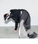 【大人向けサイズあり】【GLSW.】【セットアップ対応】パネル切替パンツ