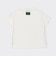 【人気商品再入荷】【直営店で取り扱い無し】恐竜×ロゴ袖半袖Tシャツ