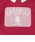 衿つきカレッジTシャツ