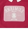 衿つきカレッジTシャツ