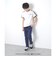 【大人向けサイズあり】Ｗフェイス・袖ライン半袖Ｔシャツ