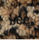 ＜Lee＞ボアグローブ（レオパード）/ 手袋 / キッズ