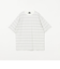 コットン ボーダー クルーネック Tシャツ