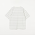 コットン ボーダー クルーネック Tシャツ