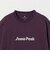 ＜Snow Peak＞Unwind Tシャツ