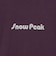 ＜Snow Peak＞Unwind Tシャツ