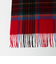 ウールカシミヤ チェックマフラー ＜A DAY IN THE LIFE＞