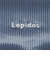 ＜Lepidos＞ベロア バイカーショーツ