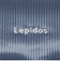 ＜Lepidos＞ベロア バイカーショーツ