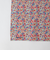 ＜Steven Alan＞リバティプリント バンダナ