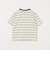 ボーダー Tシャツ / キッズ  140cm-160cm