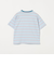 ボーダー Tシャツ / キッズ  140cm-160cm