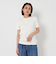 コットン天竺 Tシャツ